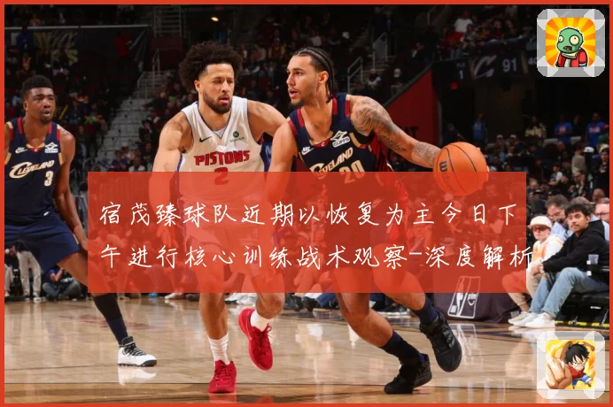 宿茂臻球队近期以恢复为主今日下午进行核心训练战术观察-深度解析