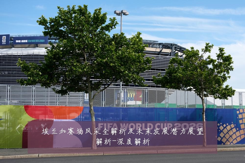 埃兰加赛场风采全解析及未来发展潜力展望解析-深度解析