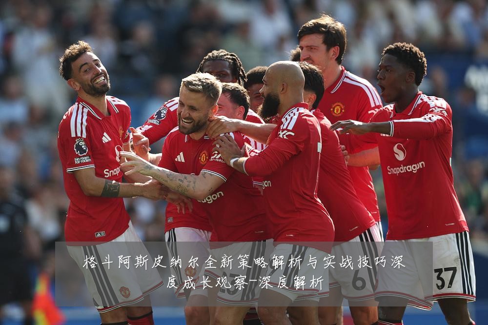 格斗阿斯皮纳尔全新策略解析与实战技巧深度成长观察-深度解析
