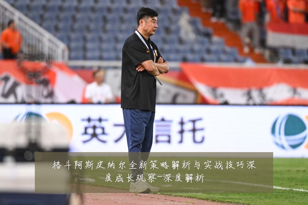 格斗阿斯皮纳尔全新策略解析与实战技巧深度成长观察-深度解析